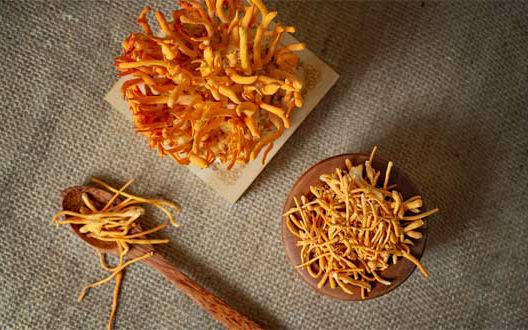 Cách dùng đông trùng hạ thảo